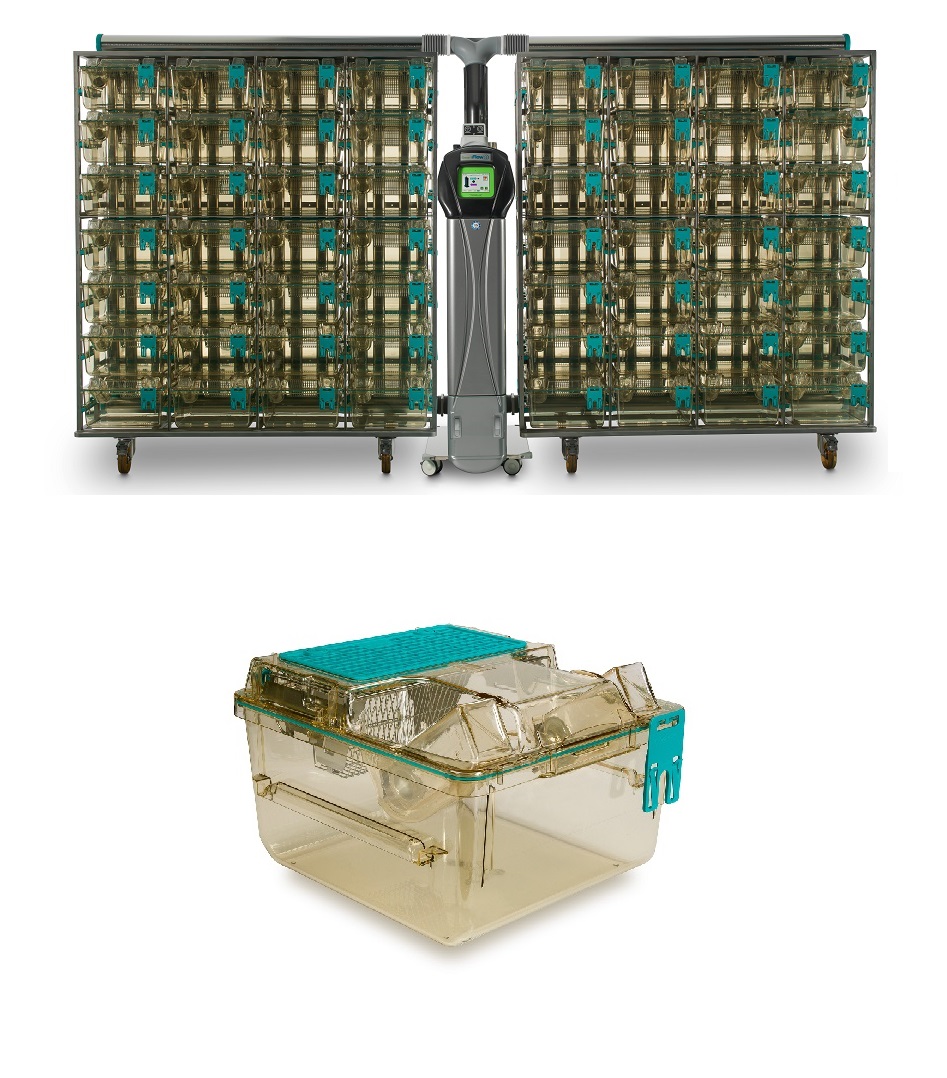 מערכת כלובי IVC מסדרת Emerald לחולדות תוצרת Tecniplast